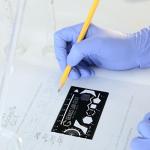Organic Chemistry Stencil and Ruler Kit