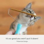 Pet Hair Removal Tool for All Fabrics