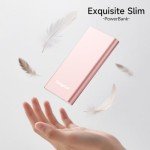 EnergyCell Pilot 4GS 12000mAh Fast Charger - Rose Gold