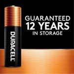 Duracell Coppertop AAA Batteries, 20 Count Pack