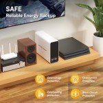 GoldenMate 800W Lithium UPS Battery Backup System