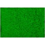 Lancer Tactical .20g-.32g Green Tracer Glow in The Dark Airsoft BBS - Seamless Match-Grade Tracer BBS, Made in Taiwan