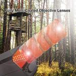 SHOTAC Wide Objective Lens Diameter 31mm, Submersible to 11 feet (3 Meters) & Shockproof Over 20,000 Rounds, 2 MOA Red Dot Sight ST31