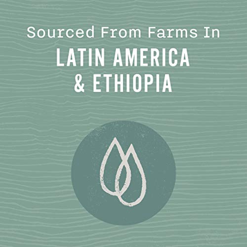 Allegro Decaf Organic Espresso Whole Bean Coffee 12oz