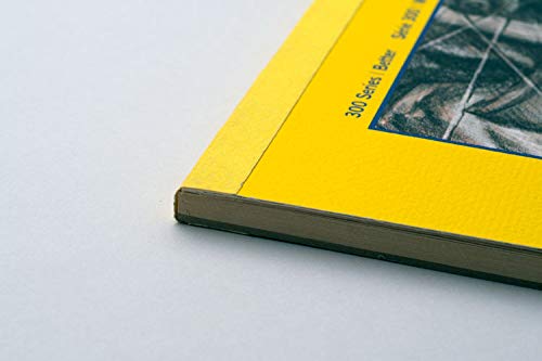 Strathmore Bristol Paper Pad - Smooth, 11x14 - 20 Sheets