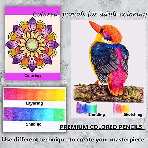 Kalour Premium 120-Color Colored Pencils for Artists