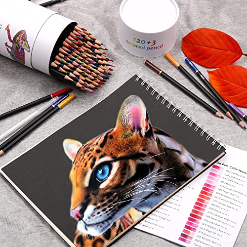 Kalour Premium 120-Color Colored Pencils for Artists