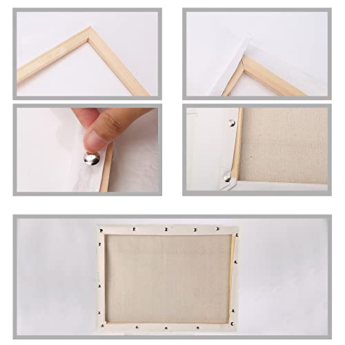 Caydo 4 Pack 12x16 Inch Wooden Canvas Frame