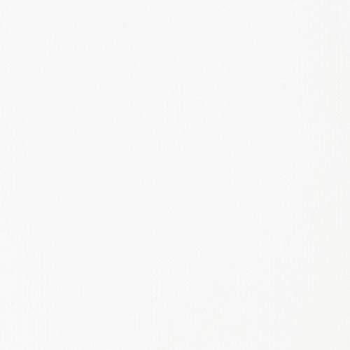 Liquitex BASICS Titanium White Acrylic Paint, 250ml
