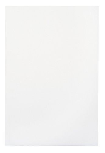 School Smart Folding Tagboard, 9x12 inches, White - 100pk