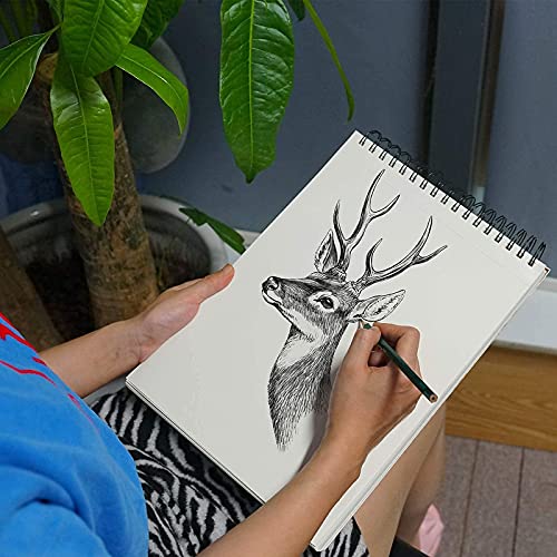 Top Spiral Bound Sketch Pad - 100 Sheets