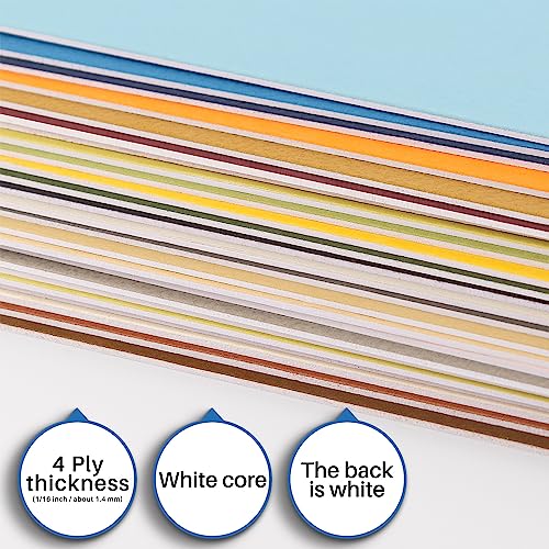 Assorted Color 11x14 Bevel Cut Mats - Pack of 50