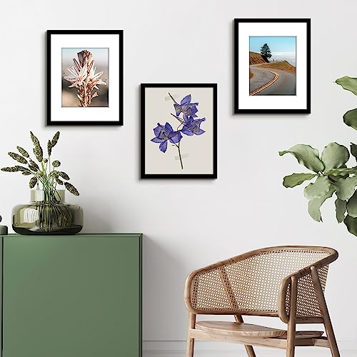 Assorted Color 11x14 Bevel Cut Mats - Pack of 50