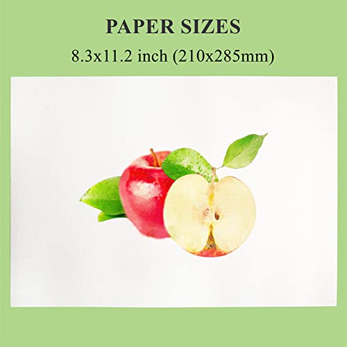 FEITAKE Watercolor Paper - 60 Sheets - Cold Press