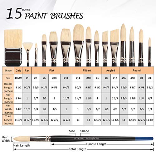 Professional Paintbrush Set | 15PCS Natural Bristle Brushes