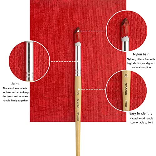 24 Different Shape Art Paint Brushes for Artists, Students, Adults & Kids
