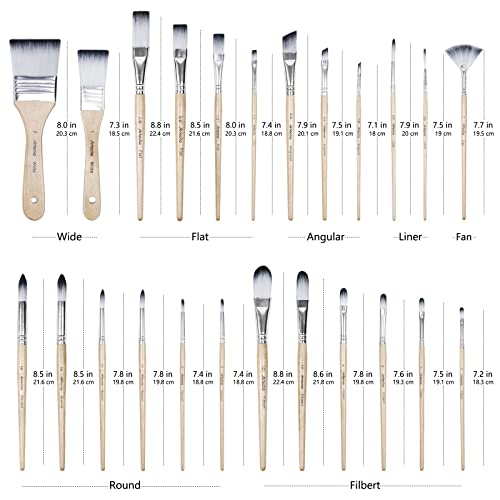 24 Different Shape Art Paint Brushes for Artists, Students, Adults & Kids