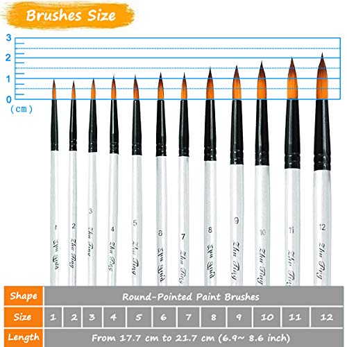 Professional Round-Pointed Acrylic Paintbrush Set-12pcs