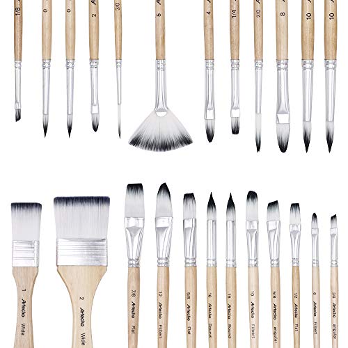 24 Different Shape Art Paint Brushes for Artists, Students, Adults & Kids
