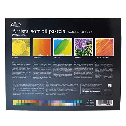 48 Assorted Gallery Soft Oil Pastels - MUNGYO