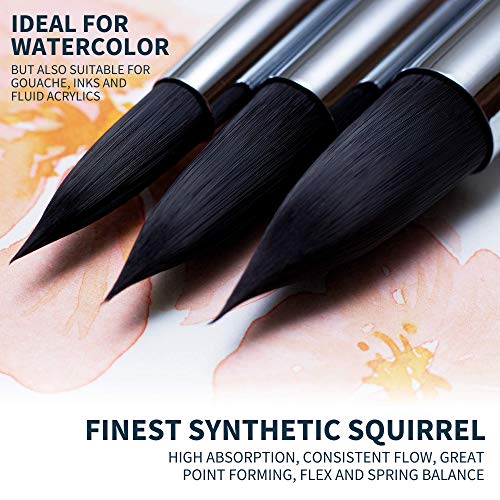 ARTEGRIA Watercolor Brush Set - Professional Paint Brushes