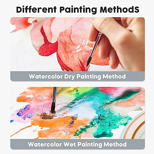 50 Vivid TAVOLOZZA Watercolor Paint Set
