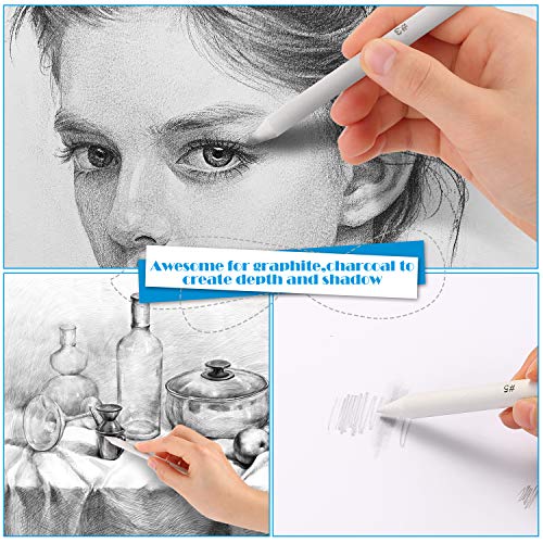 AGPTEK Sketch Drawing Tools & Blending Stumps Set