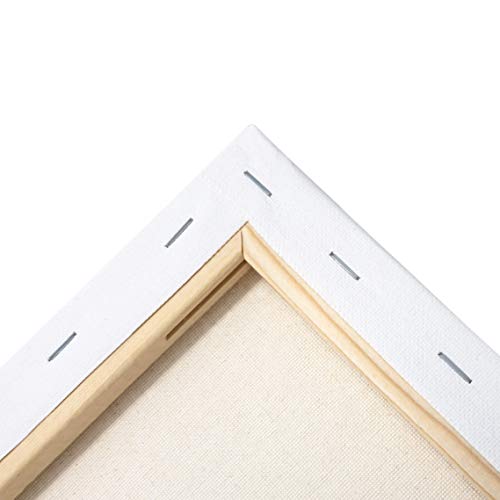 milo 12x16 inch Stretched Canvas Value Pack