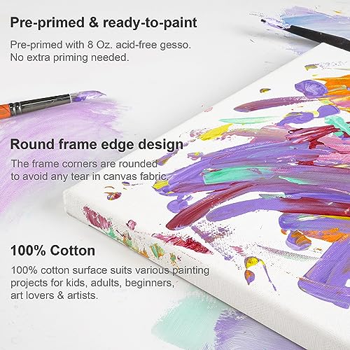 PHOENIX Large Stretched Canvas 18x24 Inch 5-Pack