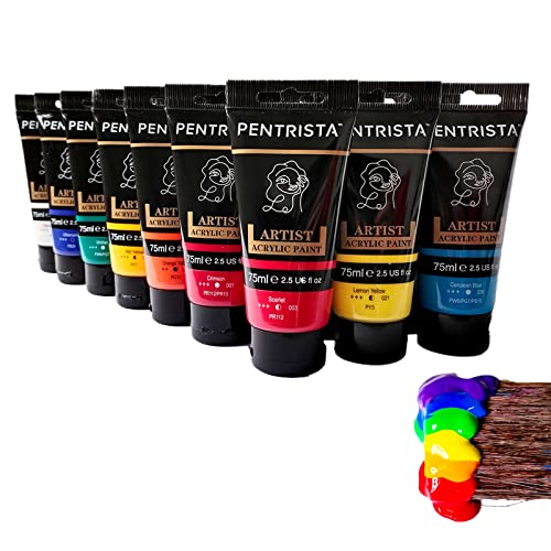 PENTRISTA 20 Colors Acrylic Paint Set for Artists