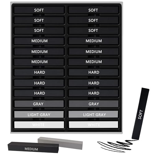 Dlicoda 24 Pcs Charcoal Sticks - Premium Drawing Kit