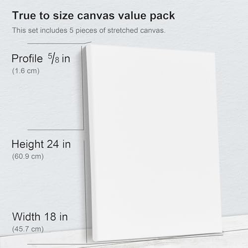 PHOENIX Large Stretched Canvas 18x24 Inch 5-Pack