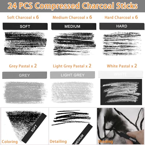 Dlicoda 24 Pcs Charcoal Sticks - Premium Drawing Kit