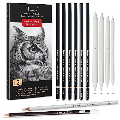 Charcoal Drawing Set - 12pc Artist Pencils Bundle