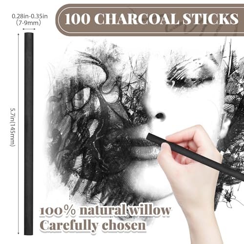 100 Willow Charcoal Sticks for Sketching and Drawing