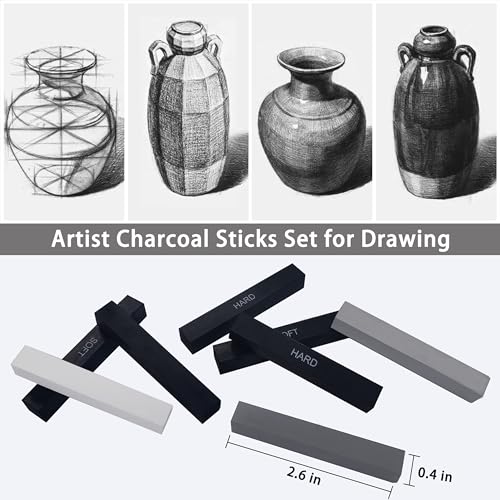 Dlicoda 24 Pcs Charcoal Sticks - Premium Drawing Kit