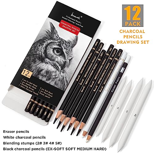 Charcoal Drawing Set - 12pc Artist Pencils Bundle