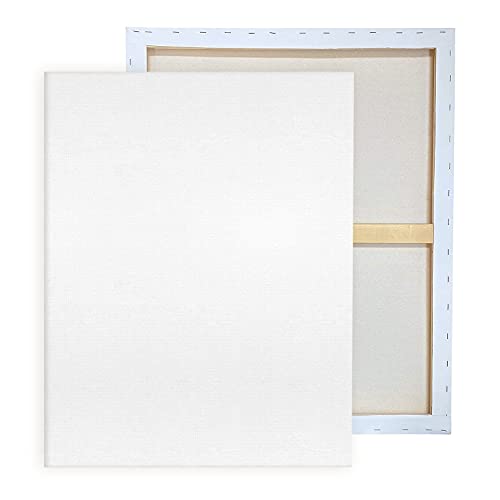 Large 24x36 Canvases 2 Pack for Acrylic/Oil Painting