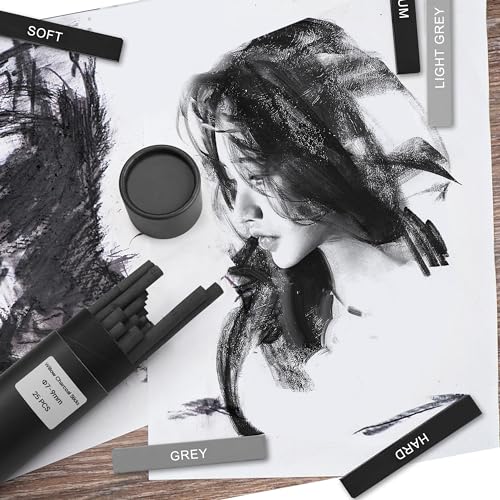 Dlicoda 24 Pcs Charcoal Sticks - Premium Drawing Kit