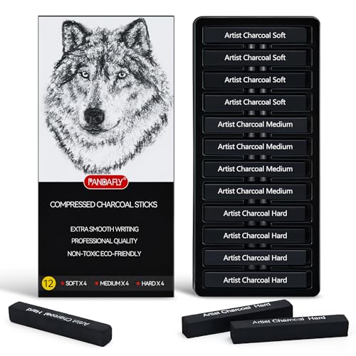 Charcoal Drawing Set: PANDAFLY 12 Compressed & Vine Sticks