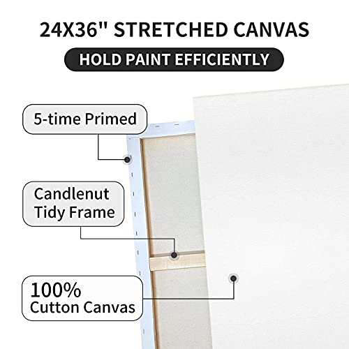 Large 24x36 Canvases 2 Pack for Acrylic/Oil Painting