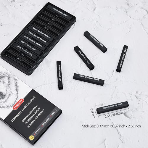Charcoal Drawing Set: PANDAFLY 12 Compressed & Vine Sticks