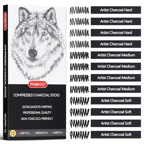 Charcoal Drawing Set: PANDAFLY 12 Compressed & Vine Sticks