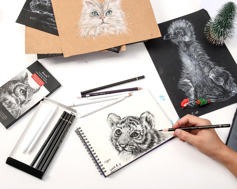 Charcoal Drawing Set - 12pc Artist Pencils Bundle