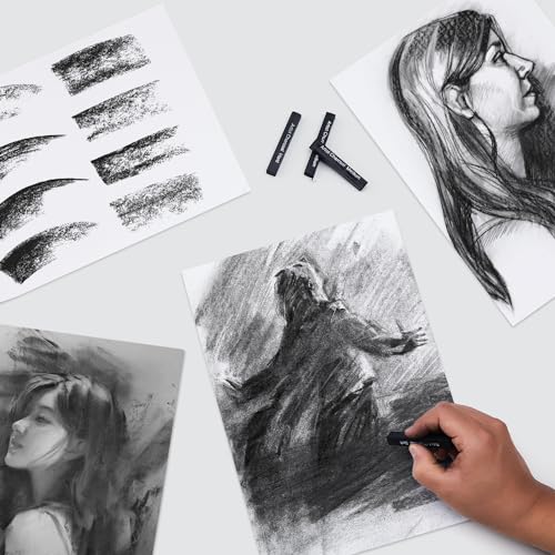Charcoal Drawing Set: PANDAFLY 12 Compressed & Vine Sticks