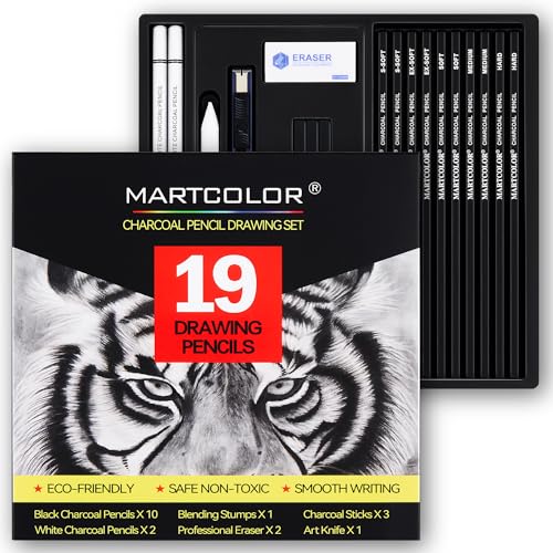 Charcoal Drawing Set: 19 Pieces for Artists