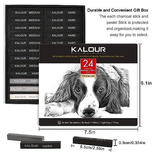 24-Piece Charcoal Drawing Set for Artists - Beginner Gift