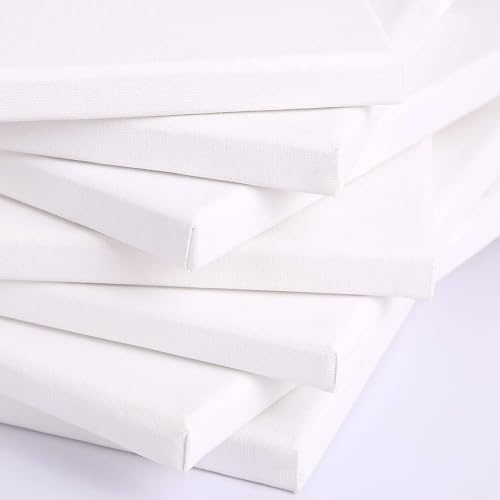 White Canvas Set with Paint Palettes and Tape