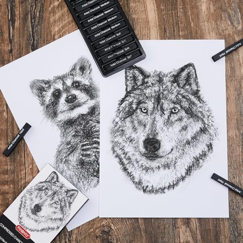 Charcoal Drawing Set: PANDAFLY 12 Compressed & Vine Sticks
