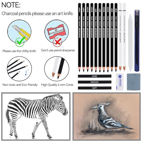 Charcoal Drawing Set: 19 Pieces for Artists